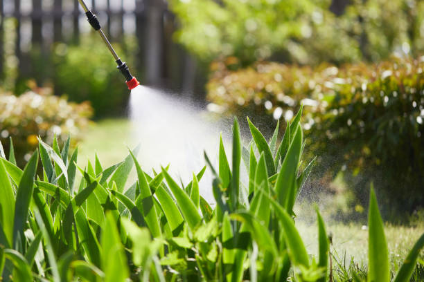 Tamper-Resistant Bait Stations for Rodents in Peosta