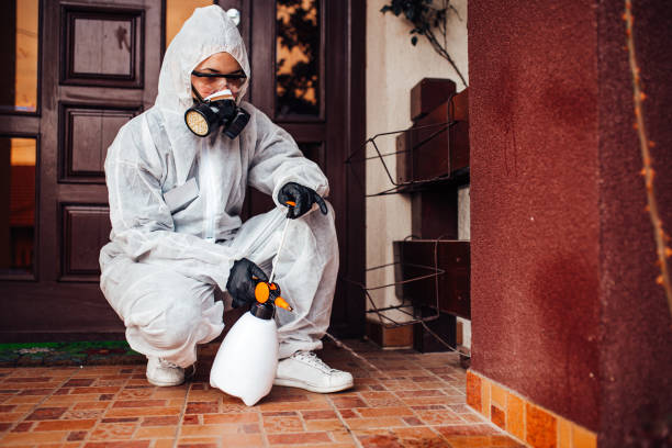 Attic and Crawl Space Rodent Treatment in Peosta