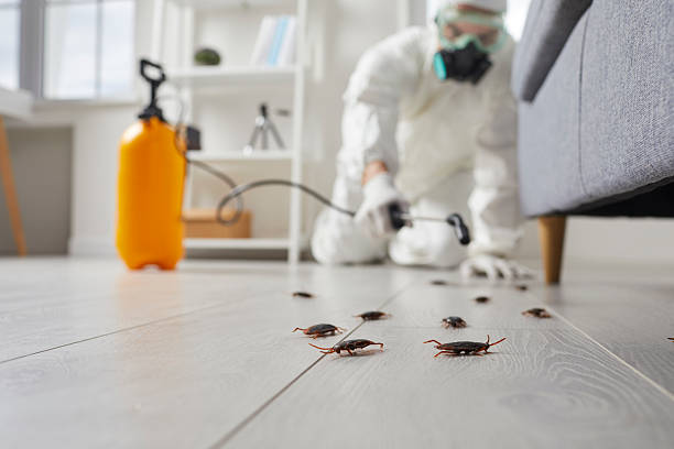 Commercial Rodent Management in Peosta